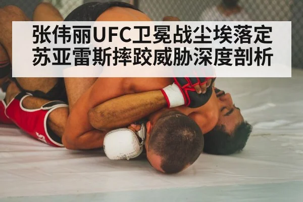mma ground fighting